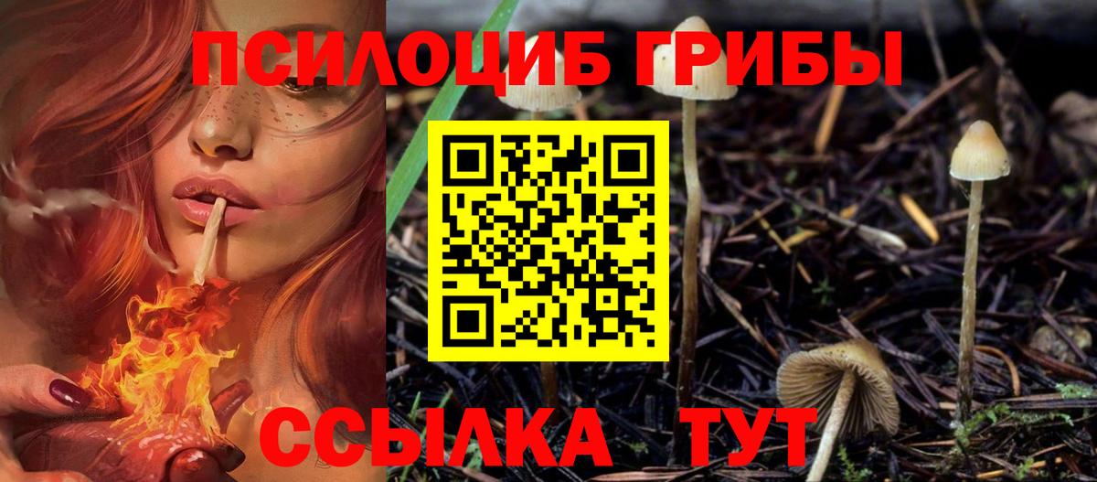 Галлюциногенные грибы мицелий  Вход с VPN  Зеленогорск 